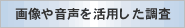 �摜�≹�������p��������