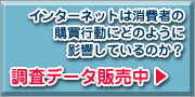 商品・サービスのネット利用に関する調査報告書 販売中!