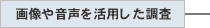 画像や音声を活用した調査