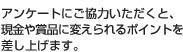 アンケートにご協力いただくと、現金や賞品に変えられるポイントを差し上げます。