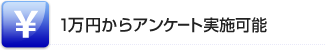 1万円からアンケート実施可能